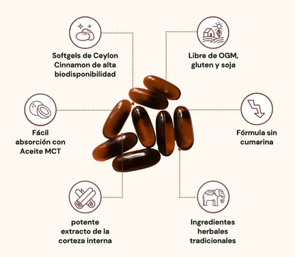 Canela de Ceilán – equivalente a 7.200 mg (con Aceite MCT)